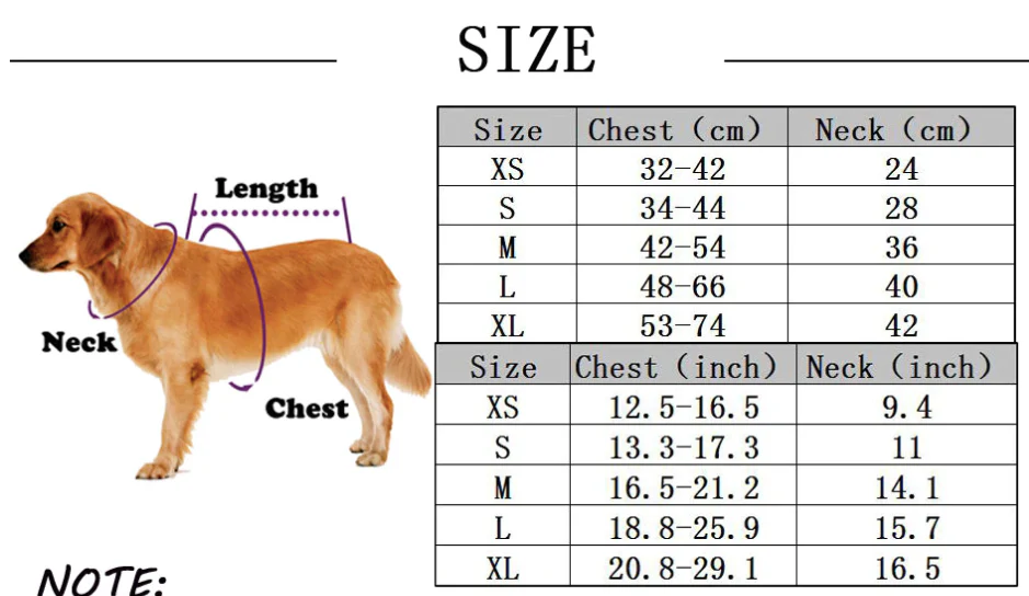 Harness and Leash Set - Image 3