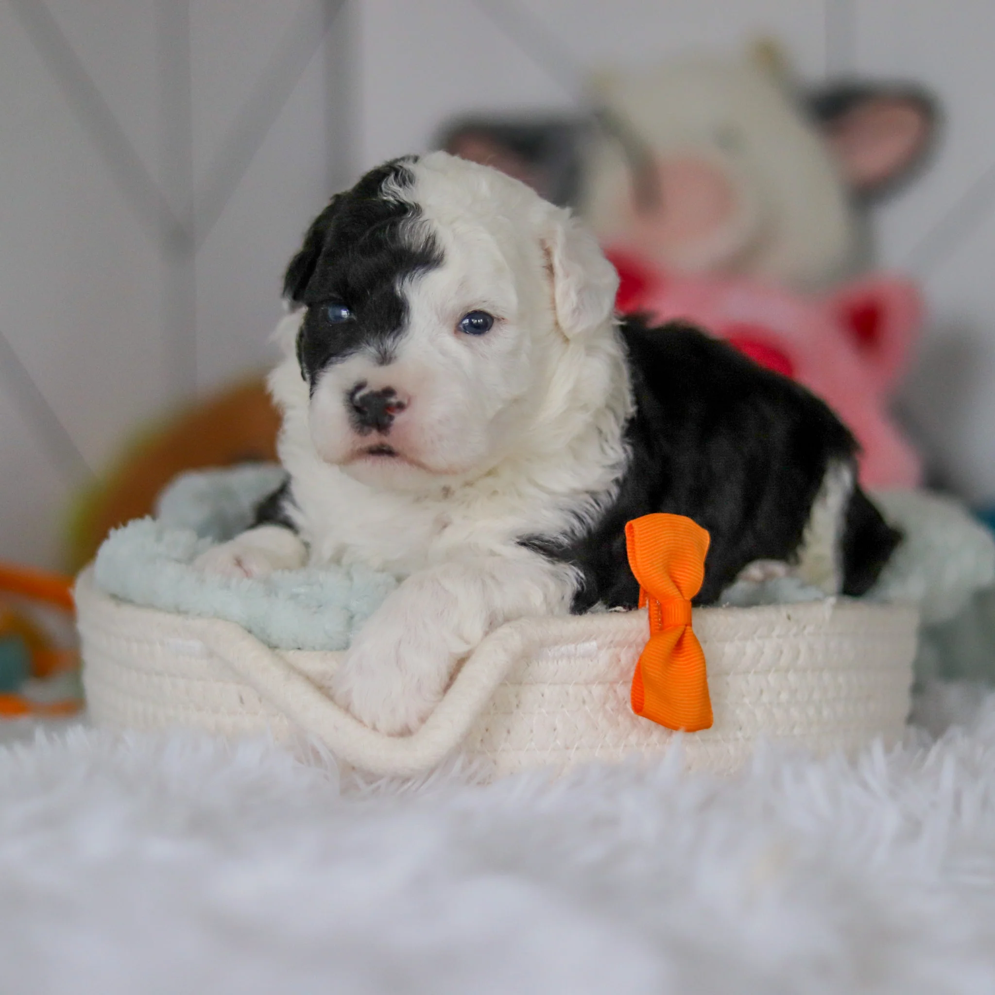 Snoop - Available 5/28 - Image 8